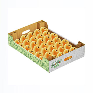 Kayısı Paketleme350/500 gr. Şale2/5 Kg. Karton Kutu